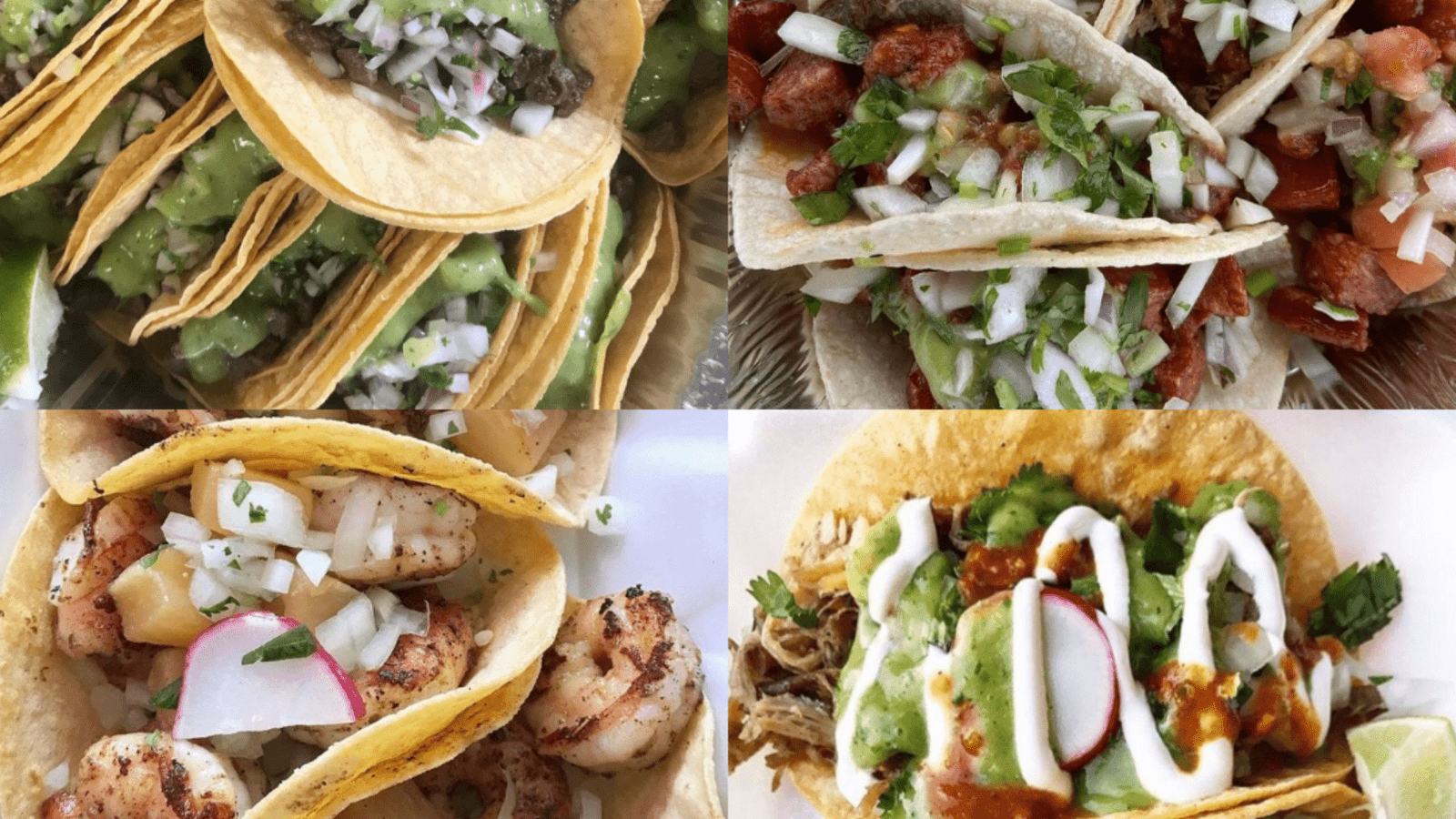 taco close ups